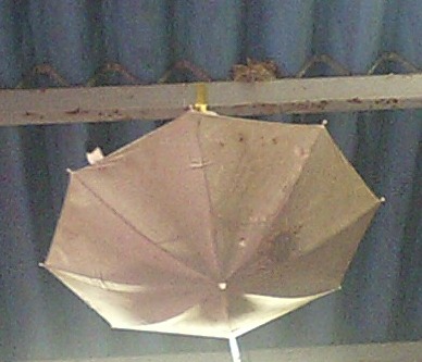 828c99d0.jpg