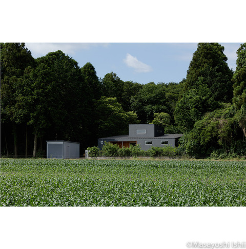 2017noakimitsu000001