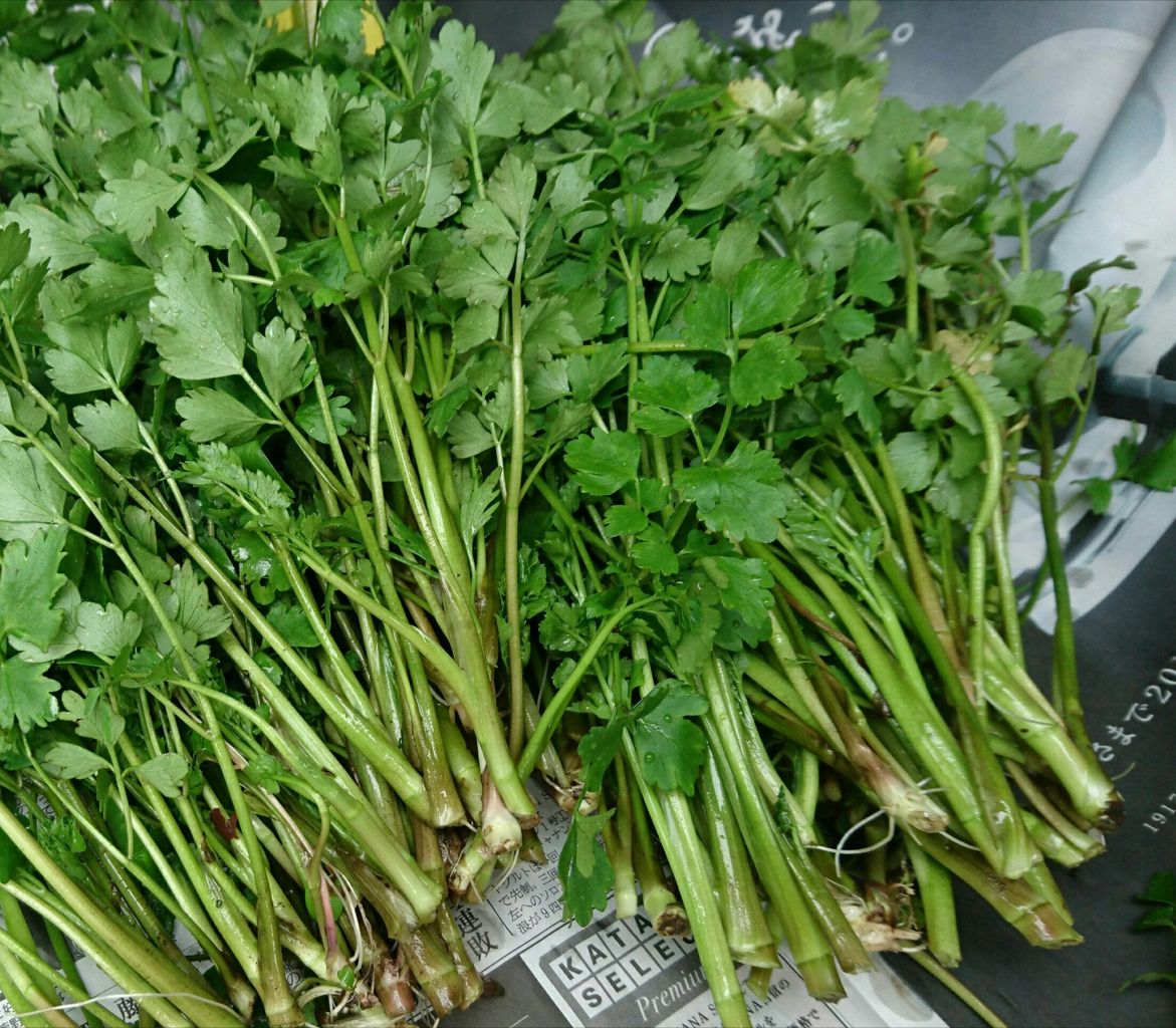 ミホはつぶやく 春は苦味を合点して食らえ 英語に 山菜 はない Q 暮らしと学びをデザインする Ohalico ミホとナオミのブログ