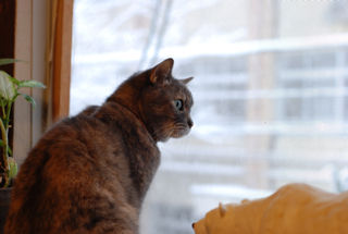 DSC_7516