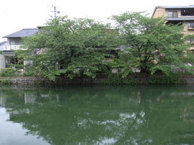 R0012429