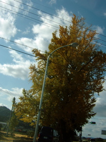 1ae8ba43.jpg