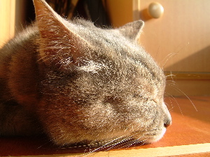 2f77d8a0.jpg