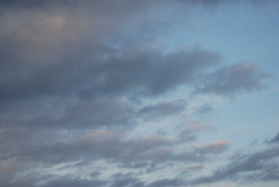 a013d816.jpg