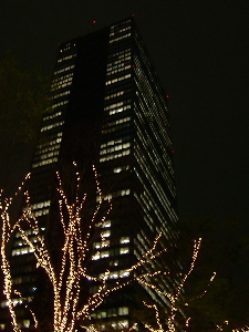 ab8b7730.jpg