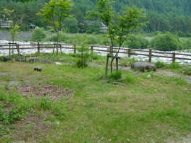 d94cd67c.jpg