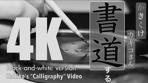 studiofplus-4K-モノクロ-サムネイルYouTube用