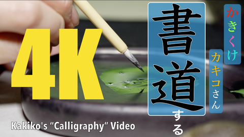 studiofplus-4K-COLOR-サムネイルYouTube用