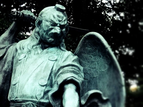 New Image5