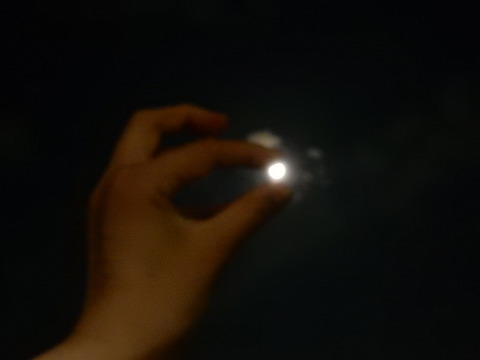 DSCN1233