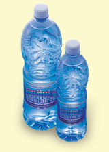 bottle