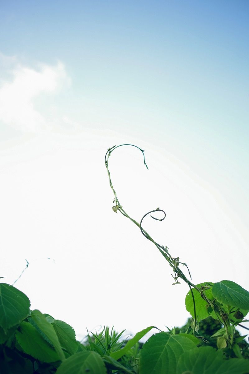 201607180004.jpg 201607180004