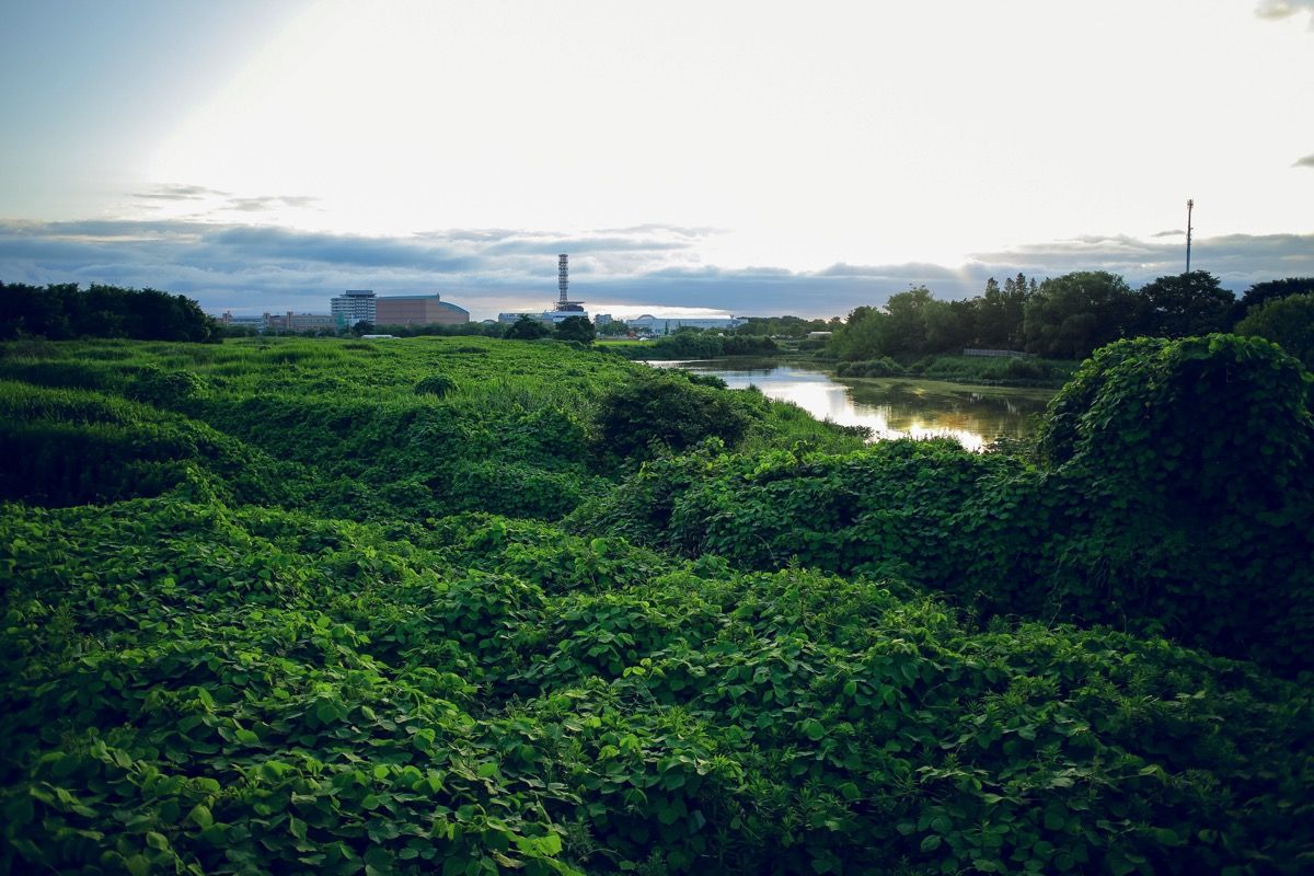 201607180001.jpg 201607180001