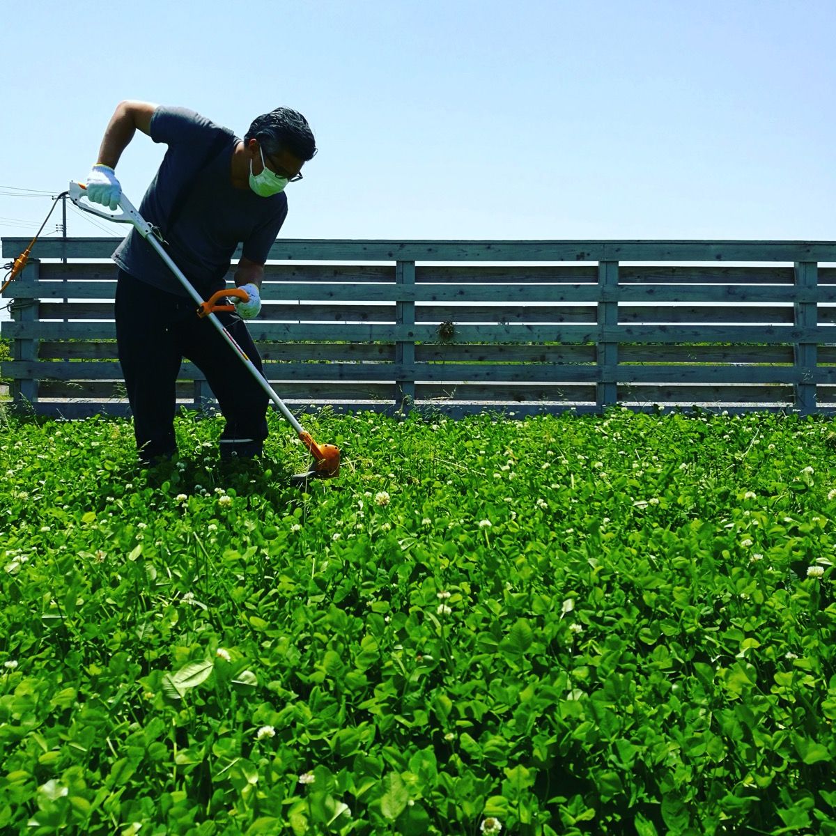 IMG 20180525 115751 129