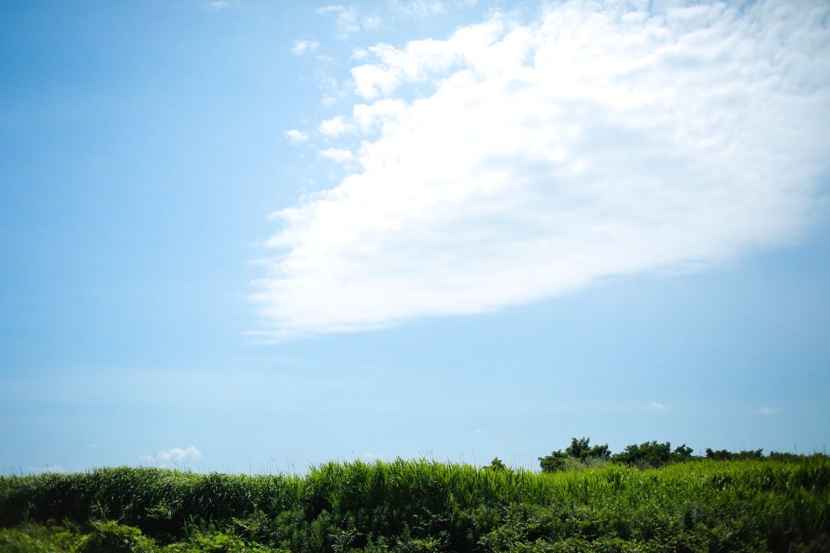 201607010002.jpg 201607010002