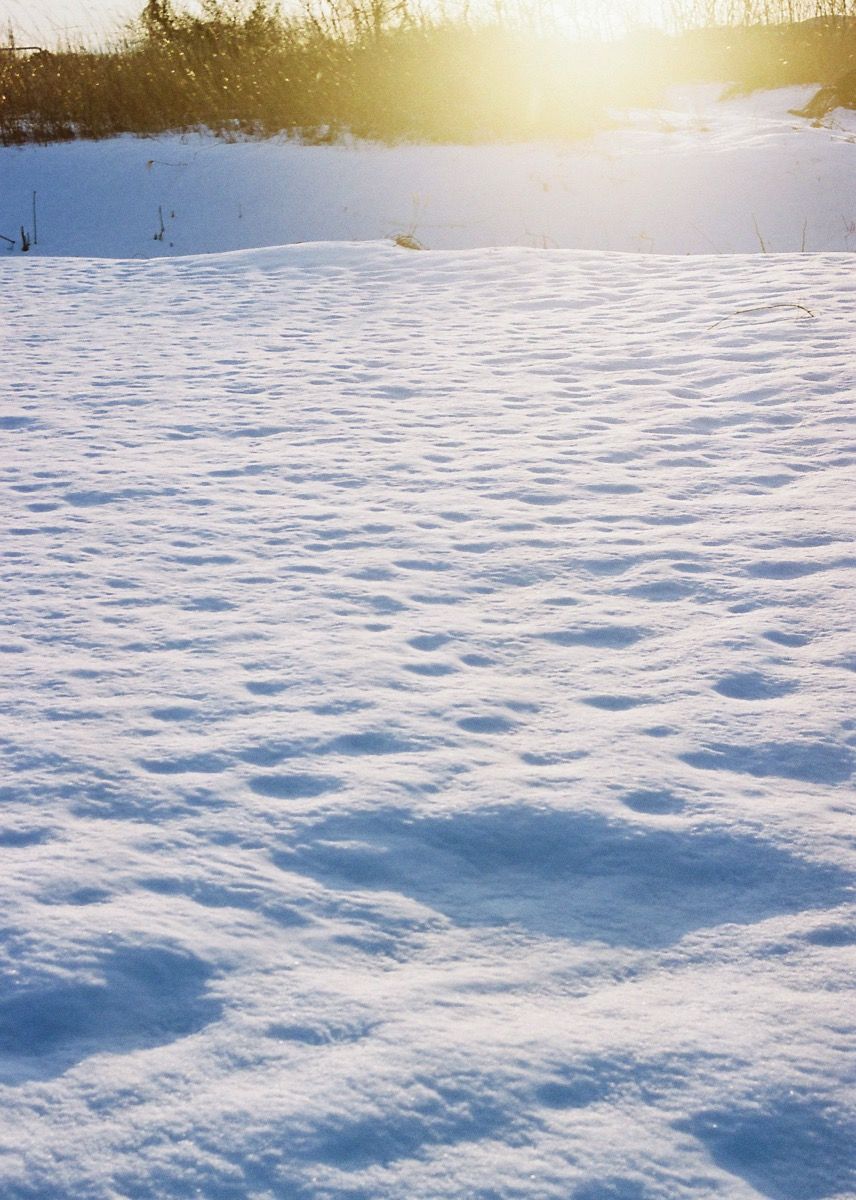 Photo0003
