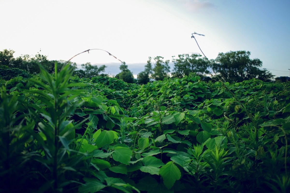 201607180003.jpg 201607180003