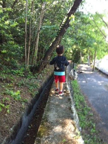 写真3