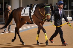 20200105 中山5R 3歳1勝クラス ルトロヴァイユ 02
