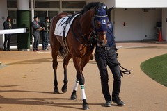 20191215 中山4R 2歳未勝利 アルソリート 08