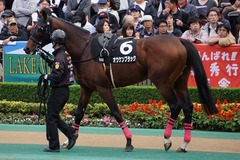 20191124 東京10R ウェルカムS (3勝) オウケンブラック 09