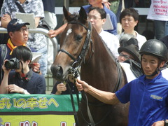 20190916 中山5R 2歳牝馬メイクデビュー バイカル 09