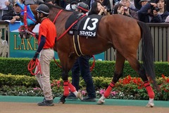 20191124 東京10R ウェルカムS (3勝) アドマイヤスコール 06