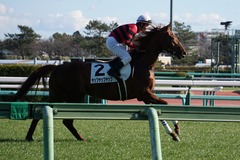 20200105 中山7R 4歳上1勝クラス ヤップヤップヤップ 15