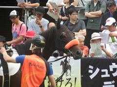 20190601 東京7R 3歳牝馬1勝 ラプターゲイル 07