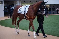 20191207 中山12R 3歳上2勝クラス クラサーヴィツァ 07