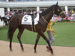 20190908 中山2R 2歳未勝利 ルトロヴァイユ 09