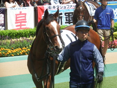 20190616 東京8R 3歳上1勝クラス ミヤコローズ 16