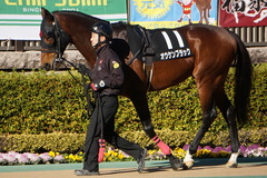 20200202 東京10R 早春S (3勝クラス) オウケンブラック 02