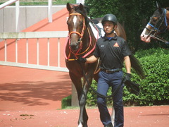 20190810 新潟7R 3歳上1勝クラス ピンシェル 08