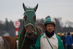 202001111 中山2R 3歳未勝利 トーセンマックス 19