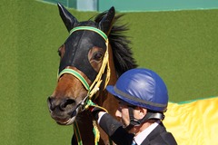 20200105 中山5R 3歳1勝クラス ルトロヴァイユ 24