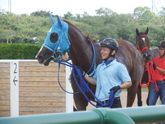 20190908 中山7R 3歳上1勝クラス ヴァルドワーズ 19