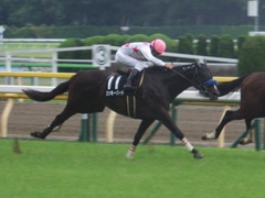 20190608 東京9R 八丈島特別 1勝 ミッキーバード 26