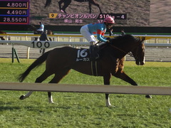 20200208 東京11R 節分S(4歳上3勝クラス) ルーカス 15