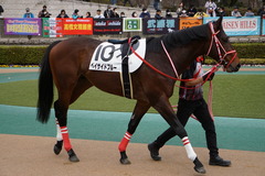 20200215 東京4R 3歳1勝クラス ベイサイドブルー 08