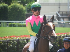 20190616 東京8R 3歳上1勝クラス ミヤコローズ 20
