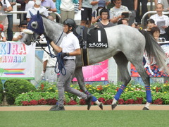 20190921 中山9R 九十九里特別 2勝 ウェディングベール 02