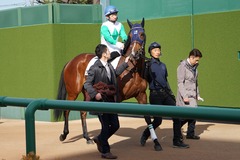 20191215 中山4R 2歳未勝利 アルソリート 15