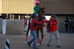 中山12R 4歳上2勝クラス オトナノジジョウ 21