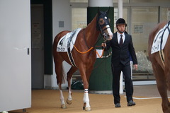 20191207 中山12R 3歳上2勝クラス クラサーヴィツァ 02