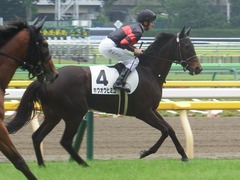 20190608 東京6R 3歳牝馬未勝利 ホウオウヒミコ 18