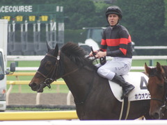 20190608 東京6R 3歳牝馬未勝利 ホウオウヒミコ 20