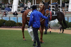 20200118 中山9R 菜の花賞 3歳牝馬1勝クラス シホノレジーナ 14