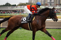 20191124 東京10R ウェルカムS (3勝) オウケンブラック 19
