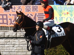 20200209 東京7R 4歳上1勝クラス ピンシェル 19
